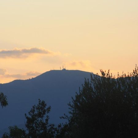La Quercia Agriturismo Imperia Dış mekan fotoğraf